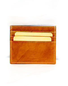 Credit Cards Holder